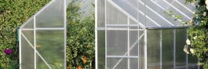 greenhouse made of glass