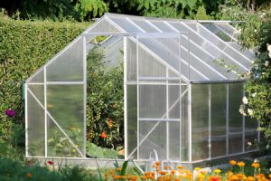 greenhouse made of glass